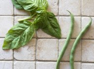 String Beans and Fresh Basil — Stock Photo