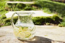 Una brocca d'acqua con fette di limone e calce congelate a cubetti di ghiaccio — Foto stock