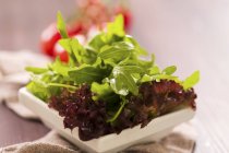 Змішане листя салату в квадратних мисках — стокове фото
