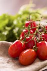 Tomates roma maduros vermelhos — Fotografia de Stock