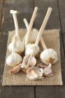 Fresh garlic bulbs — Stock Photo