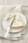 Gorgonzola cheese on plate — Stock Photo