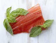 Fresh filet of salmon — Stock Photo