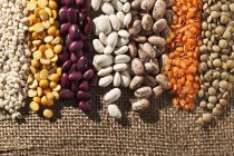 Closeup top view of rows of barley, yellow split peas, kidney beans, pinto beans, red lentils and brown lentils on burlap — Stock Photo