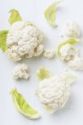 Свіжі шматочки білої цвітної капусти — стокове фото