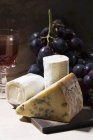 Queijo azul e queijo de cabra — Fotografia de Stock