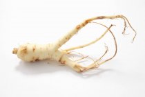 Closeup view of a fresh ginseng root on a white surface — Stock Photo
