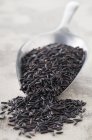 Черный сушеный сырой рис — стоковое фото