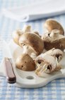 Cogumelos de castanha frescos — Fotografia de Stock