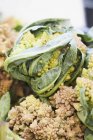 Romanesco broccolis fresco - foto de stock