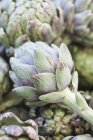 Alcachofas frescas recogidas - foto de stock