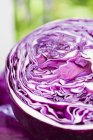 Половина пурпурной капусты — стоковое фото