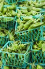 Cestas Plásticas de Chiles Verdes Anaheim en un Mercado de Agricultores - foto de stock