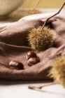 Chestnuts with prickly case — Stock Photo