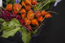 Fresche raccolte Barbabietole rosse e gialle — Foto stock