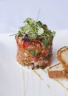 Salmon tartare with vegetables — Stock Photo