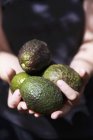 Mani femminili che tengono avocado — Foto stock