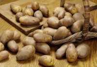 Patatas frescas en cesta - foto de stock