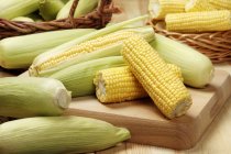 Several corn cobs — Stock Photo