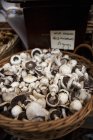 Fresh mushrooms in a basket — Stock Photo
