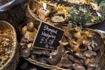 Вид крупным планом свежих камышовых грибов ежа в корзине с биркой — стоковое фото