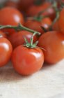 Свіжі червоні лозові помідори — стокове фото