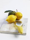 Lemons and grater with lemon zest — Stock Photo