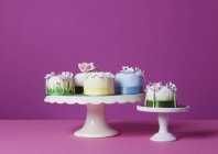 Торты на тортах — стоковое фото