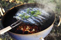 Elevated view of barbecuing sardines with herb — Stock Photo