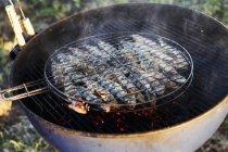 Grilled sardines on barbecue rack — Stock Photo