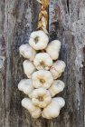 Подвешивание луковиц чеснока — стоковое фото