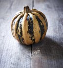 Yellow and green striped squash — Stock Photo