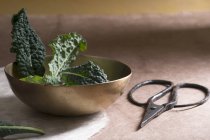 Cavolo nero in a bowl, with scissors to one side over wooden surface — Stock Photo