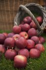 Manzanas rojas en cesta - foto de stock