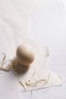 Organic egg with straw on paper — Stock Photo