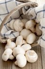 White mushrooms in basket — Stock Photo