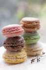 Colored Macaroon Cookies — Stock Photo