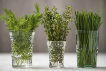 Fresh dill with thyme and chives — Stock Photo