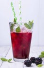 Closeup view of spritzer with blackberries and mint leaves — Stock Photo