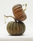 Grande courge fraîche — Photo de stock