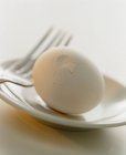 Белое вареное куриное яйцо — стоковое фото