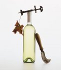 Пляшка білого вина з штопор — стокове фото