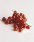 Redcurrants on branch on white — Stock Photo