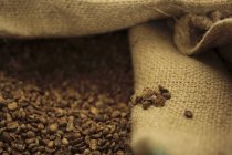 Grains de café brun torréfiés — Photo de stock