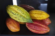 Вид крупным планом цветных стручков какао — стоковое фото