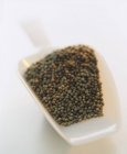 Семена кориандра в совок — стоковое фото