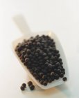 Juniper berries in plastic scoop — Stock Photo