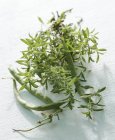 Rami salati verdi freschi e baccelli su superficie bianca — Foto stock