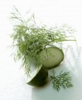 Fresh dill and sliced cucumber — Stock Photo