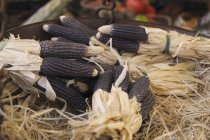 Пурпуровий кукурудза на ринку — стокове фото